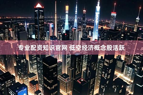 专业配资知识官网 低空经济概念股活跃