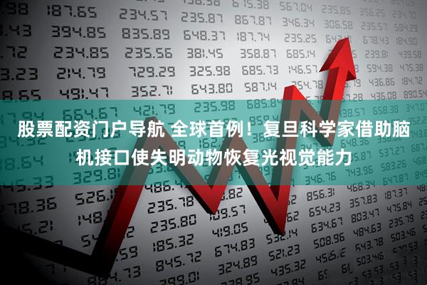 股票配资门户导航 全球首例！复旦科学家借助脑机接口使失明动物恢复光视觉能力